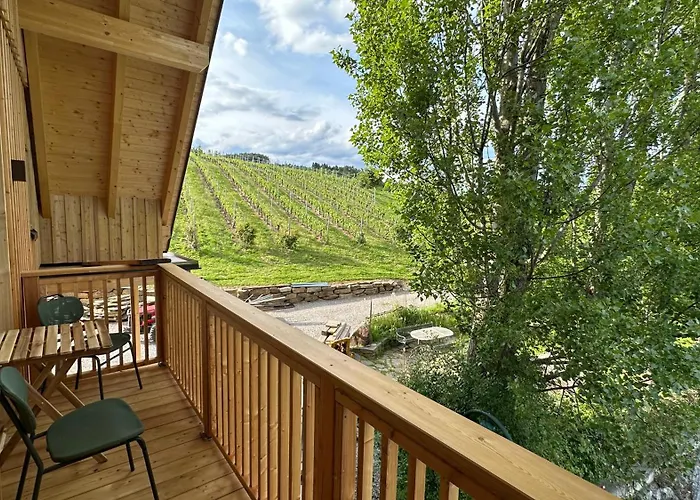 Weinquartier - Weinrebenblick Kleindienst *