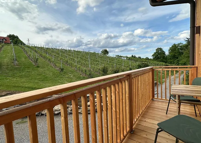 Weinquartier - Weinrebenblick Kleindienst *